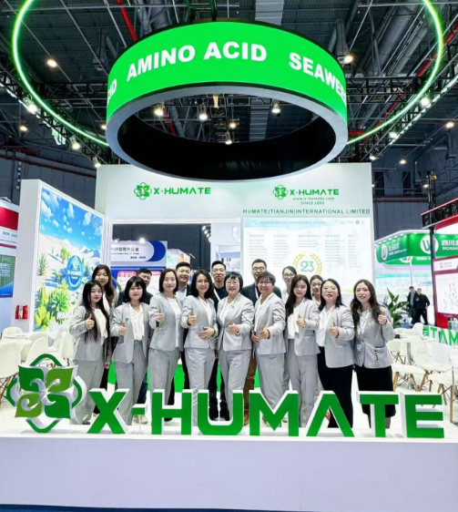 humic soil
